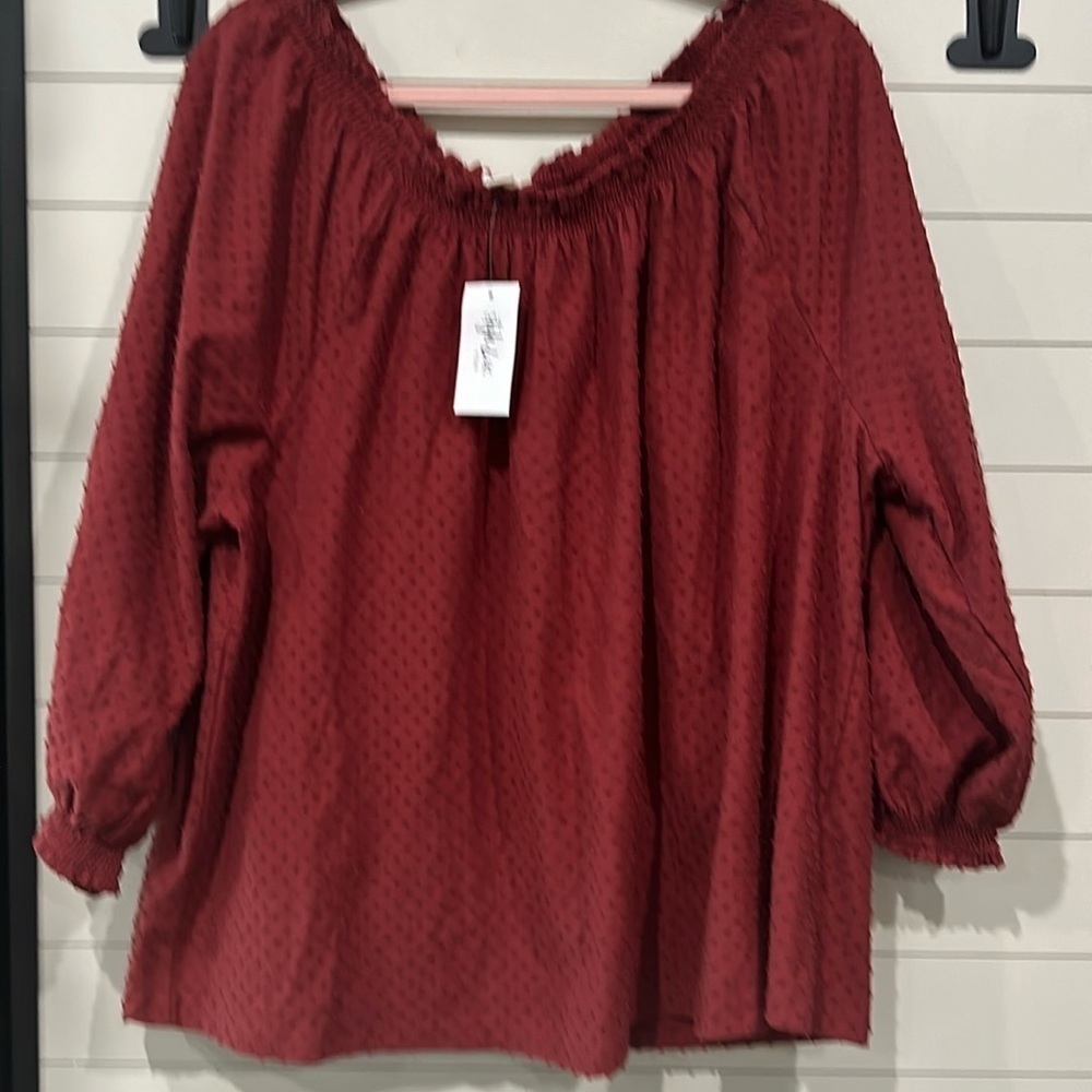 NWT Style &Co Swiss dot blouse.